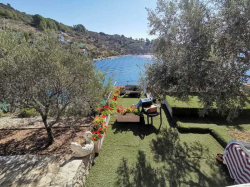 Apartmani villa rosa Vela Luka (Otok Korčula)